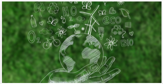 SOSTENIBILIDAD E INNOVACIÓN EN AGRICULTURA ECOLÓGICA