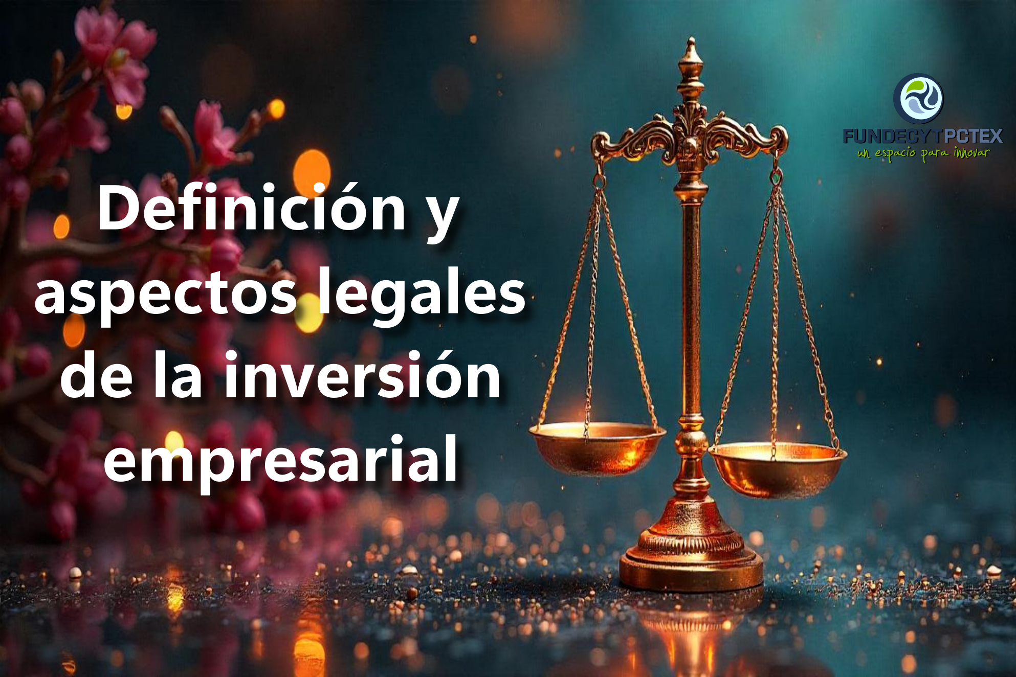 Definición y aspectos legales de la inversión empresarial.